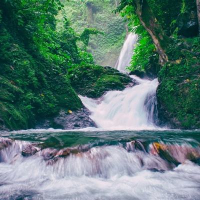 护心小熊官方版下载
